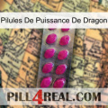 Dragon Power Pills 09